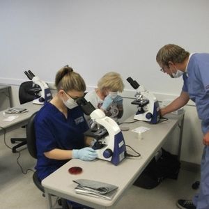 Meet your Posher, Eddie